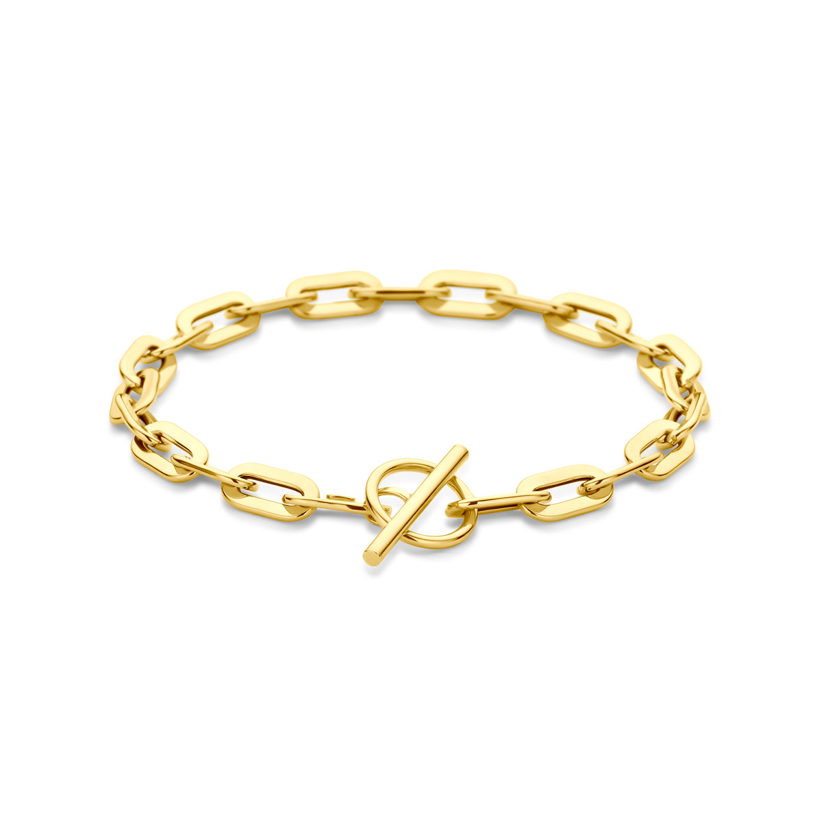 14k Goud Armband Kapittelslot 5,5mm 19 cm