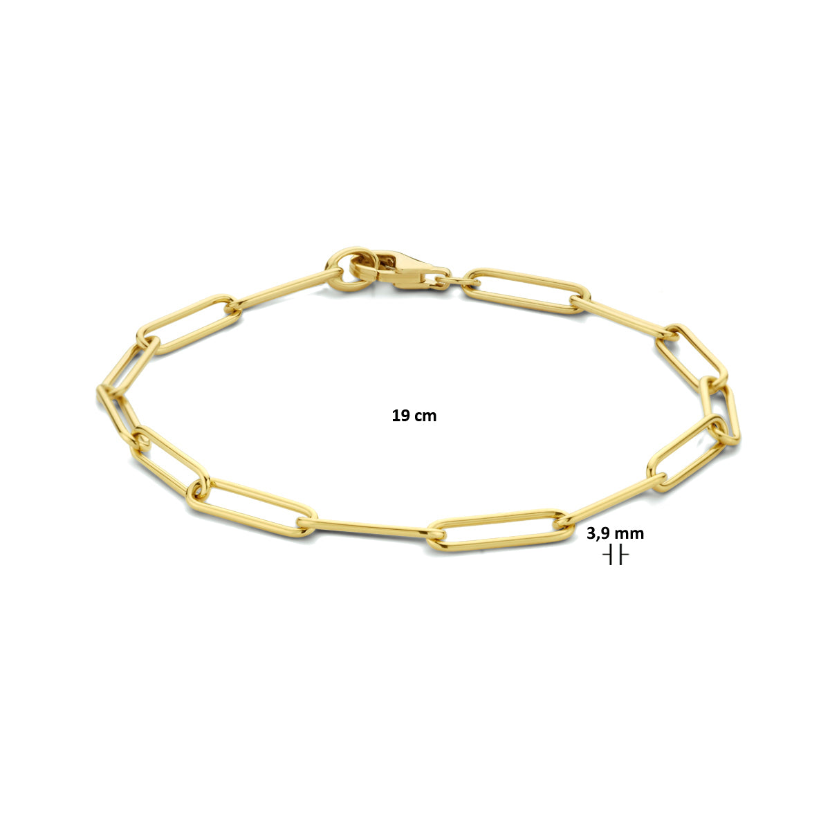 14k Goud Armband Paperclip Rond Massief 3,9mm 19 cm