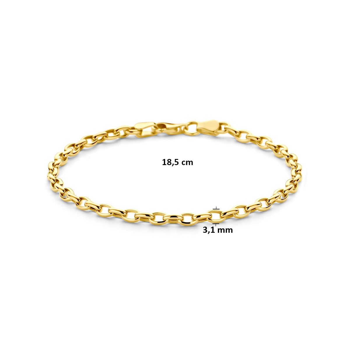 14k Goud Armband Anker 3,1mm 18,5 cm