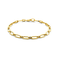 14k Goud Armband Paperclip 5,0mm 19 cm