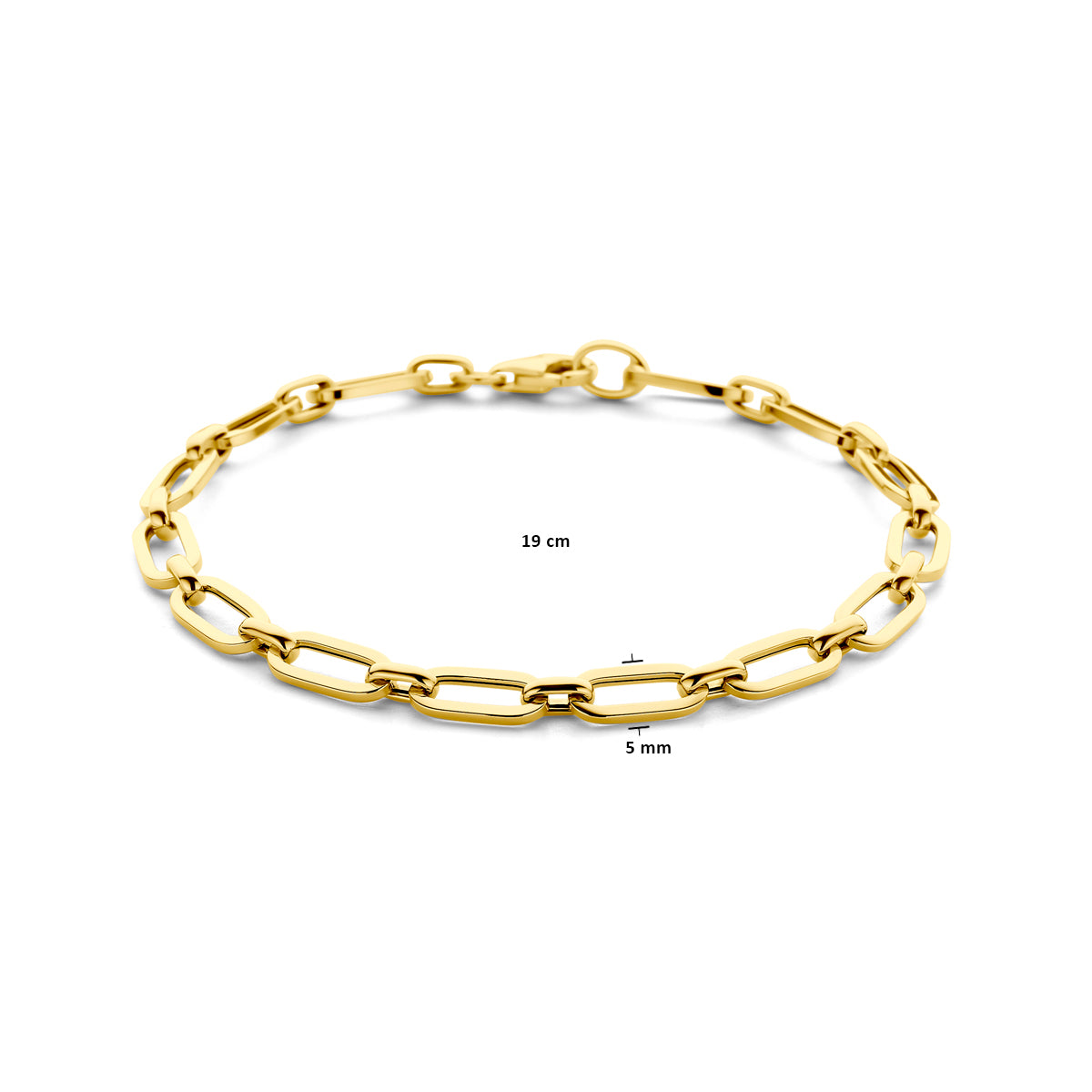 14k Goud Armband Paperclip 5,0mm 19 cm