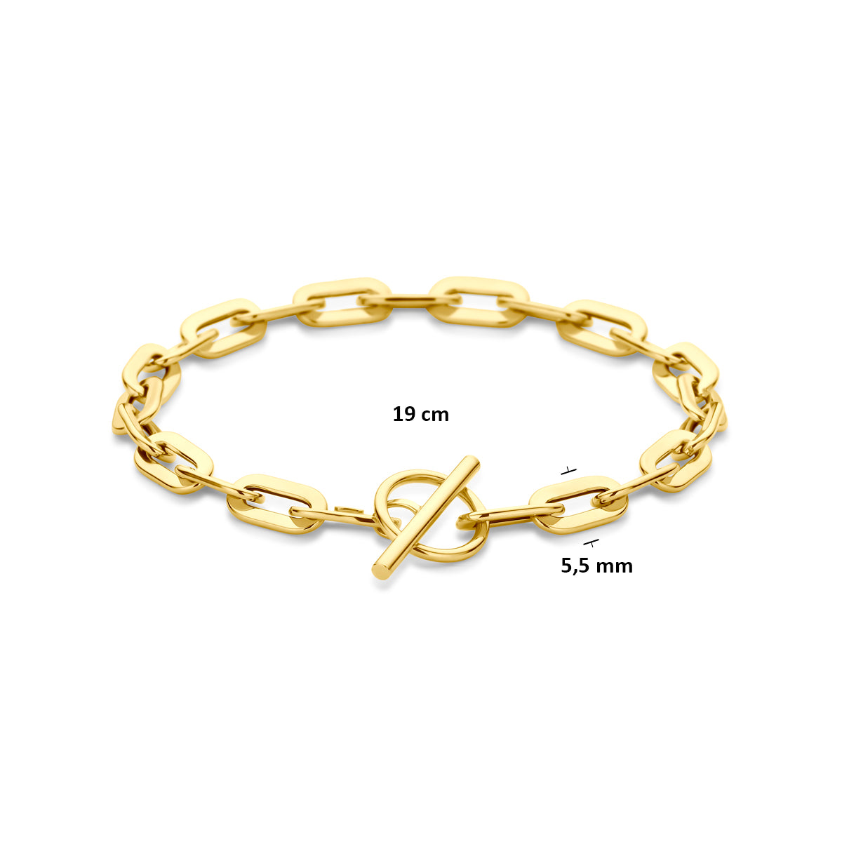 14k Goud Armband Kapittelslot 5,5mm 19 cm