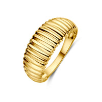 9k Goud Ring